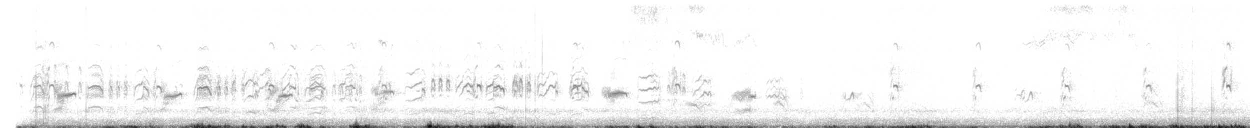 Peruvian Tern - ML649035308