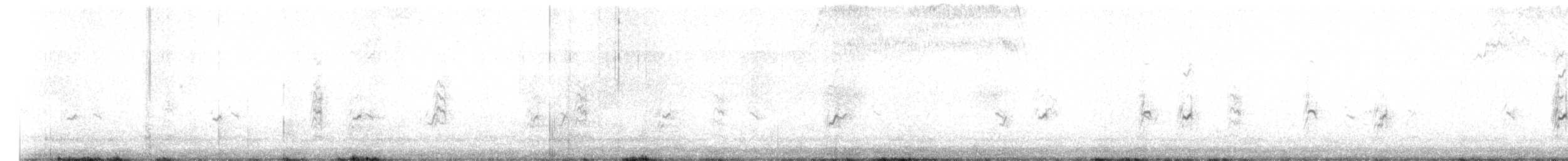 Peruvian Tern - ML649035309