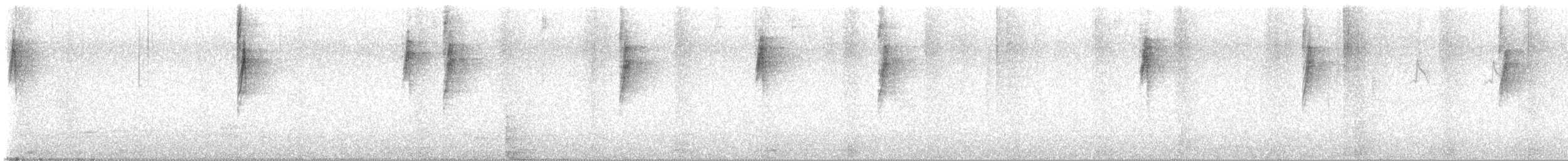 New Holland Honeyeater - ML649035494