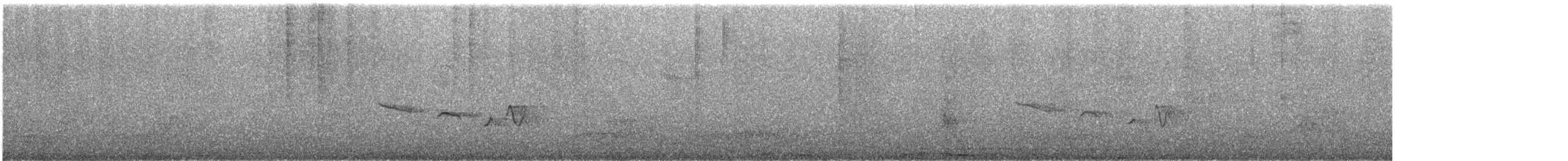 Oriental Magpie-Robin - ML649036762