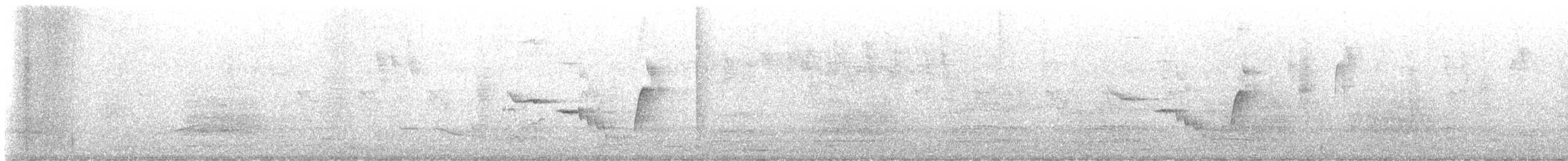 Brown Thornbill - ML649037797