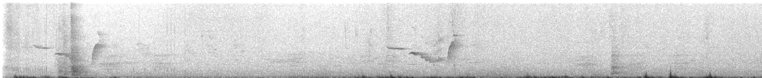 Brown Thornbill - ML649037798