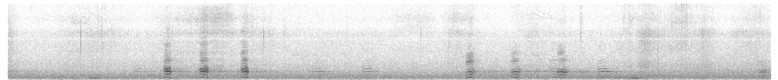 Common Raven - ML649039329
