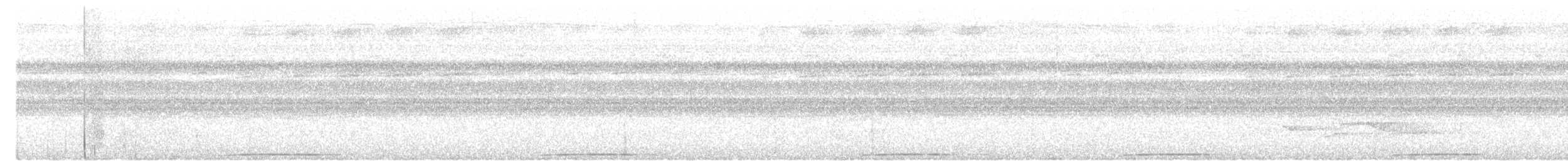 Brandtaube - ML649042087