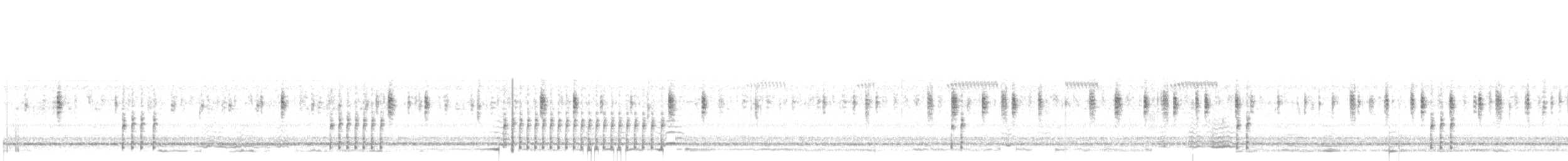 Polka-dot Tree Frog - ML649042702