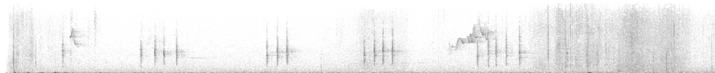 White-bellied Redstart - ML649044505