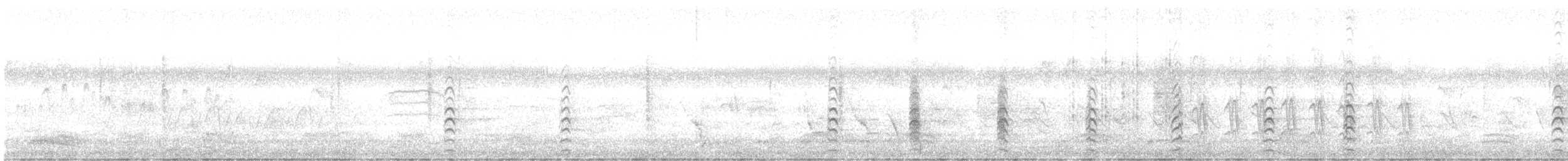 Black-winged Stilt - ML649046011