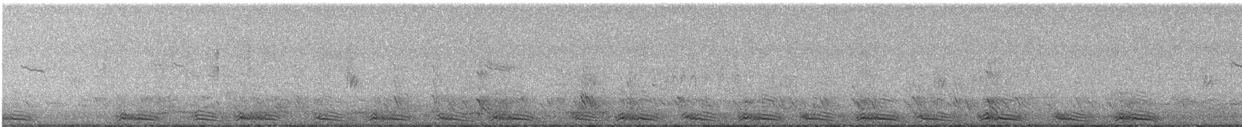 racek mořský - ML649048582