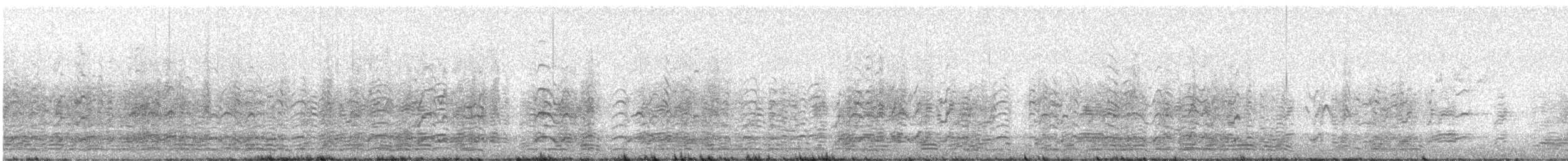 husa krátkozobá - ML649048757