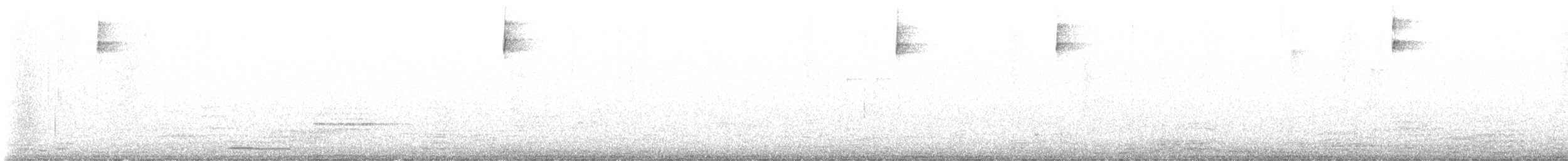 Tristramammer - ML649049299