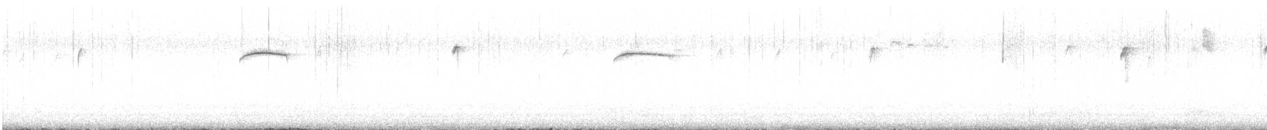 brkoslav americký - ML649051498