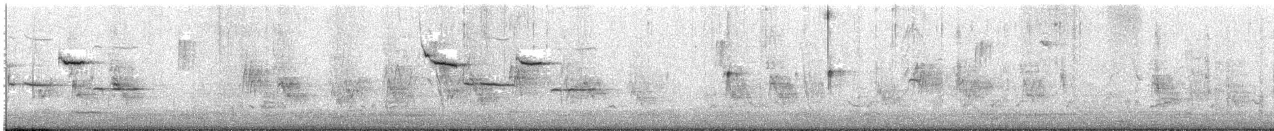 Каролинская гаичка - ML649052398