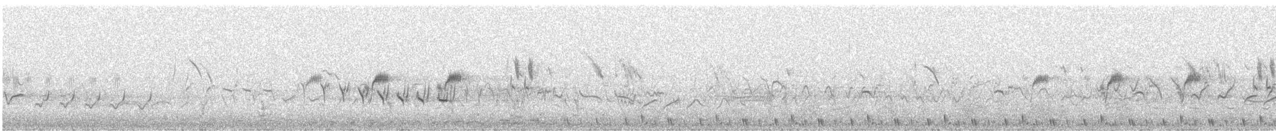 Баранець малий - ML649054944