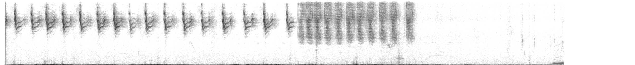 Vescovo dalla corona gialla - ML649056287