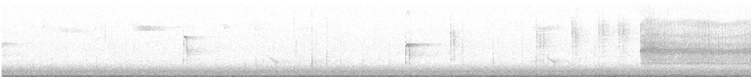 strakapoud americký [skupina villosus] - ML649065774