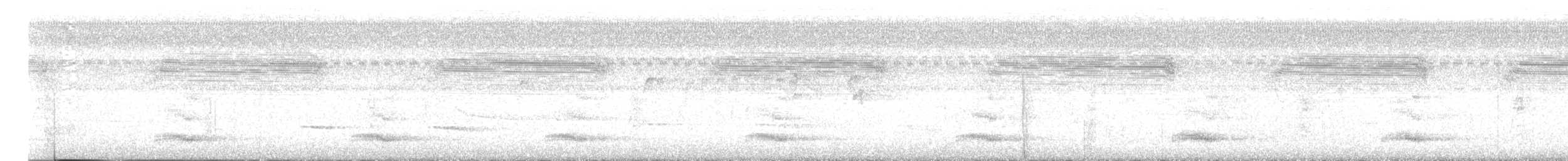 Choco Toucan - ML649068413