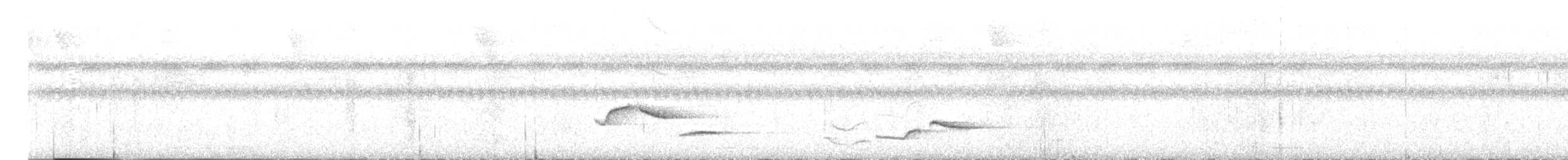 White-breasted Wood-Wren - ML649070299