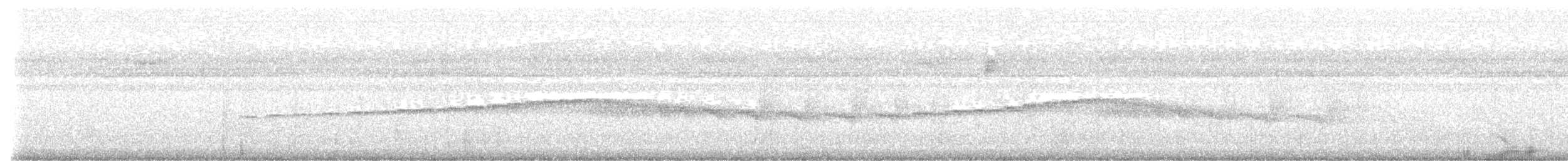 Ocellated Antbird - ML649072257