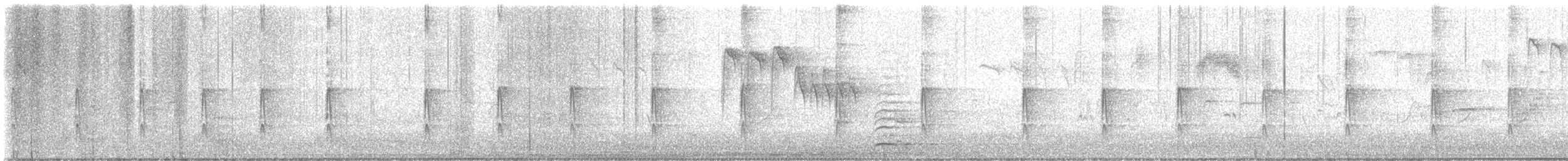 Дятел звичайний [група major] - ML649074881