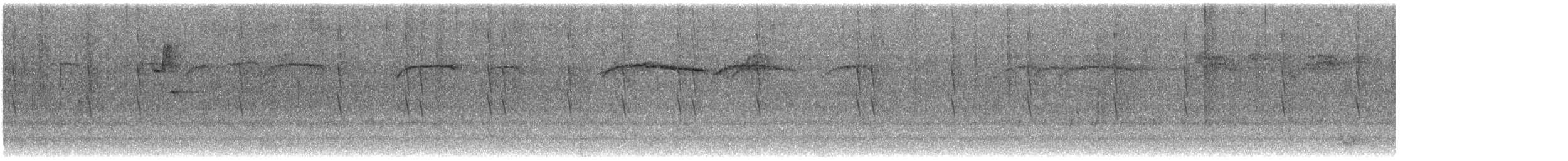 brkoslav americký - ML649076668