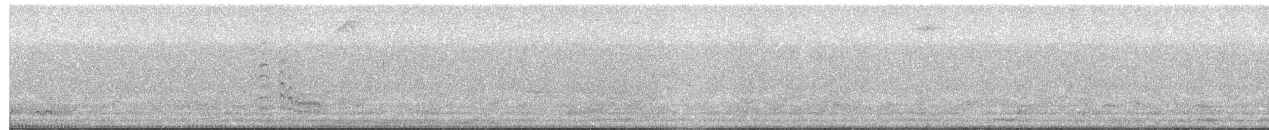 Scaled Dove - ML649077105