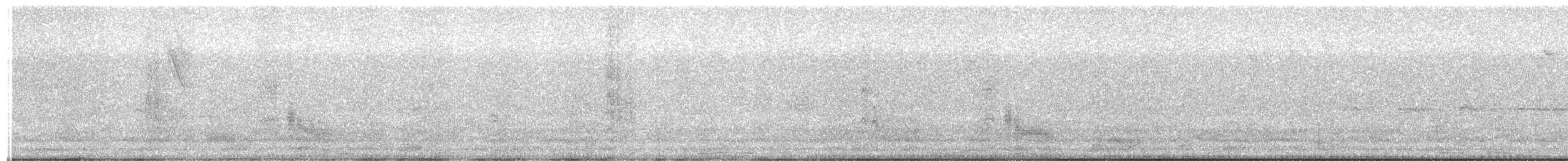 Common Squirrel-Cuckoo - ML649077672