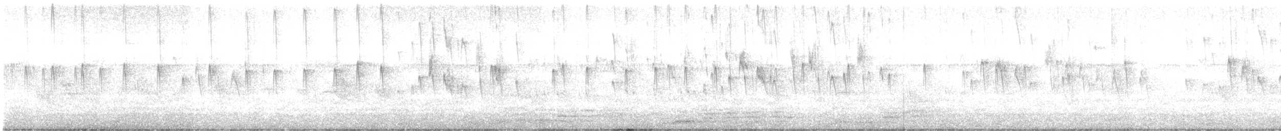 Бразильский иглохвост - ML649077791