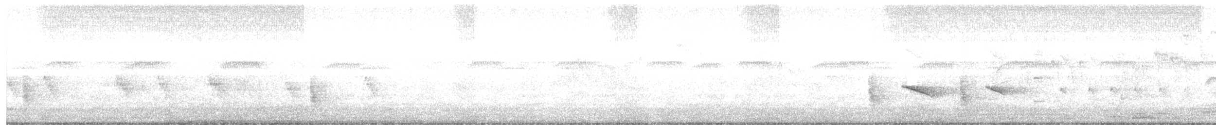 Бурокрылый курен - ML649077796