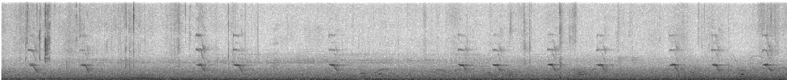 Plush-crested Jay - ML649079488