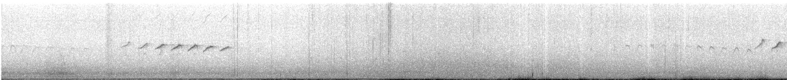 Tropical Gnatcatcher - ML649079780