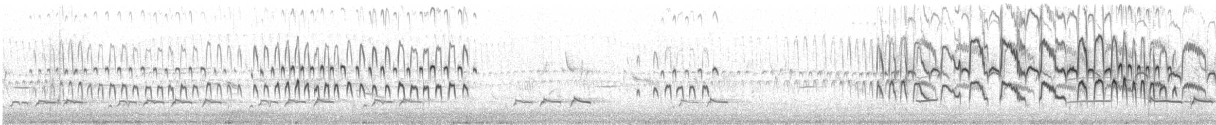 Temminck's Stint - ML649080780