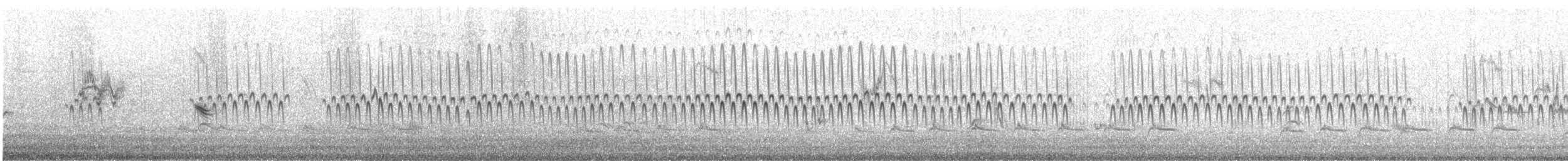 Temminck's Stint - ML649080781