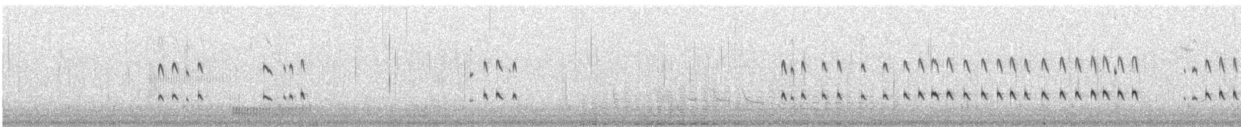 Temminck's Stint - ML649080809