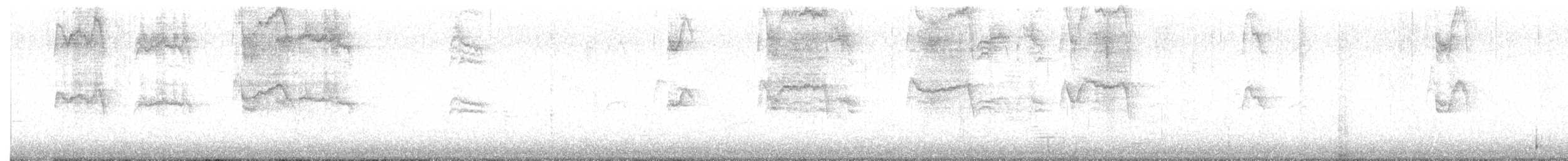 Rock Pigeon (Feral Pigeon) - ML649081501