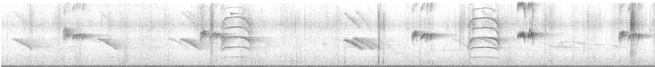 Tropical Kingbird - ML649082302