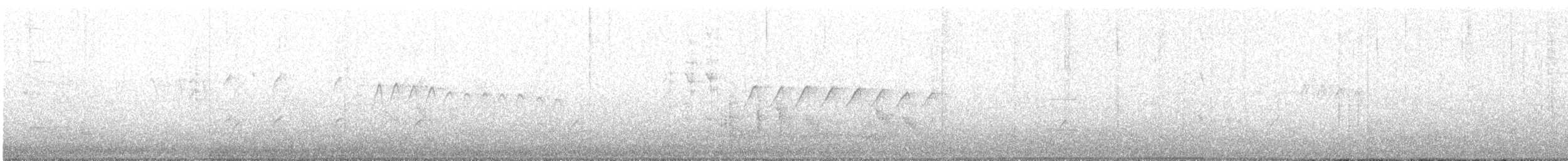 Tropical Gnatcatcher - ML649082427