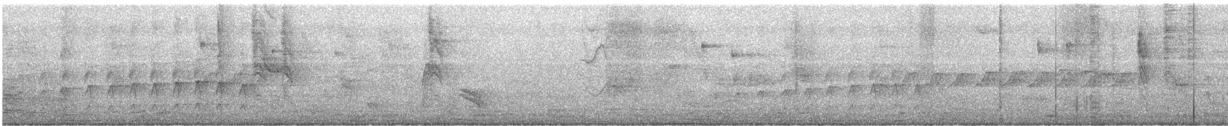 Plain Thornbird - ML649082707