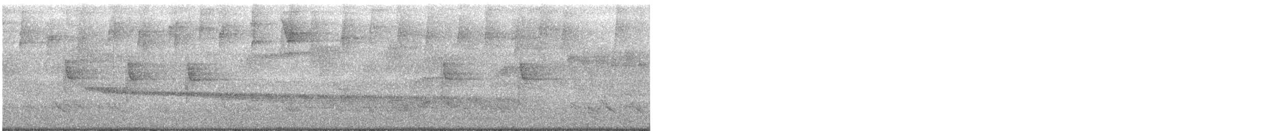 Long-billed Gnatwren - ML649082713