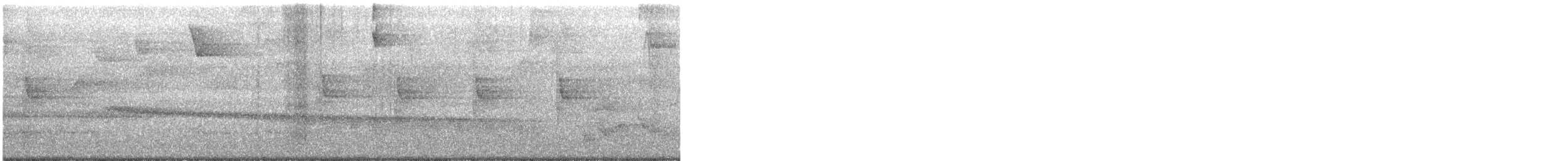 Long-billed Gnatwren - ML649082721