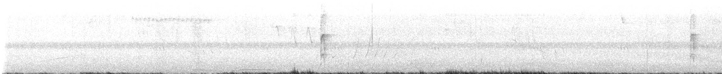 strakapoud americký - ML649089809