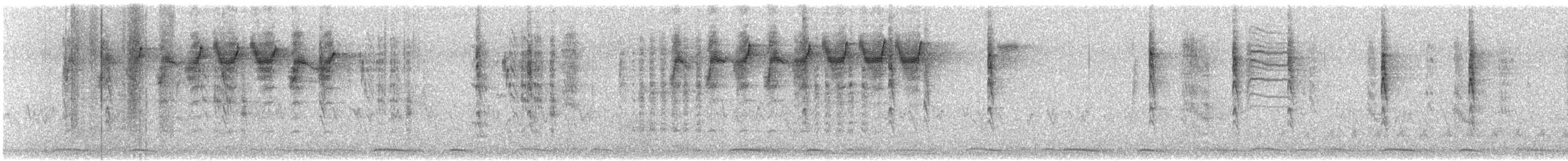ウィルソンアメリカムシクイ - ML649094709