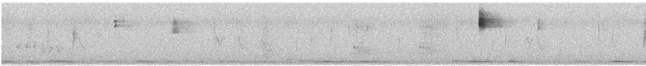 ウィルソンアメリカムシクイ - ML649095310