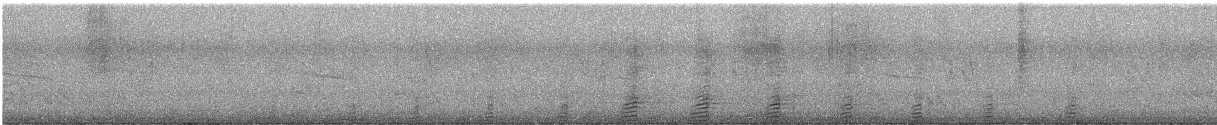 綠頭鴨 - ML649096437