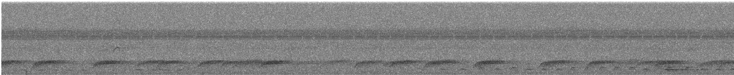 White-browed Purpletuft - ML649098181