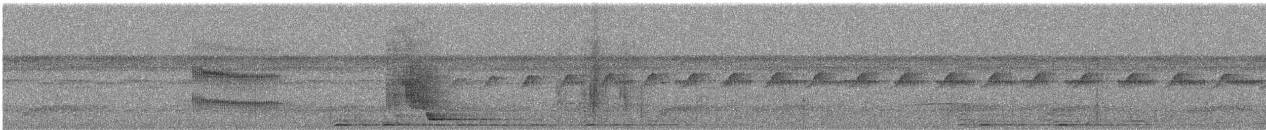 Double-banded Pygmy-Tyrant - ML649098191