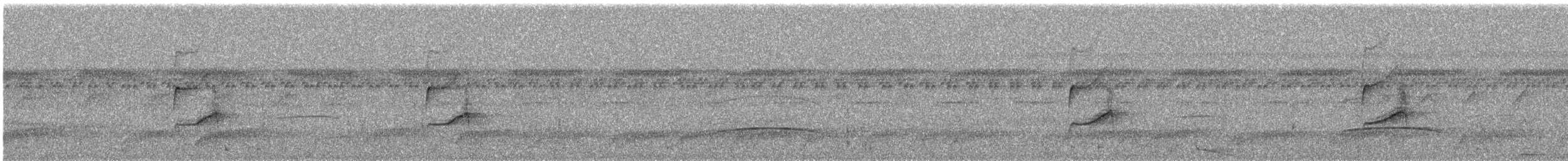 Gray-crowned Flatbill - ML649098205