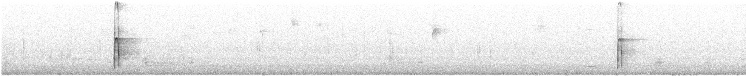 strakapoud americký [skupina villosus] - ML649099264