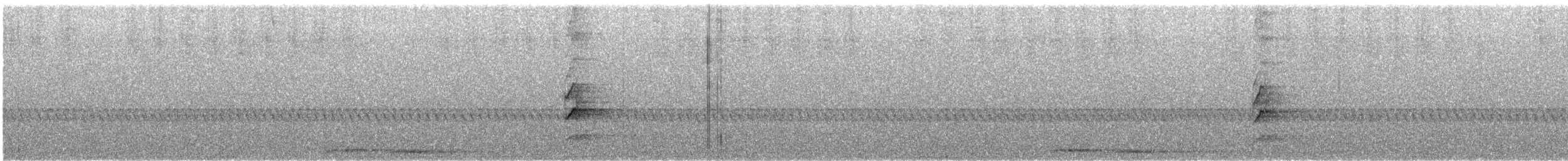 Baumhöhlenschwalm - ML649107125