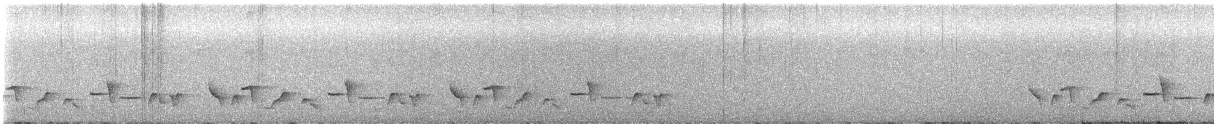 Einsiedlerzaunkönig - ML649107530