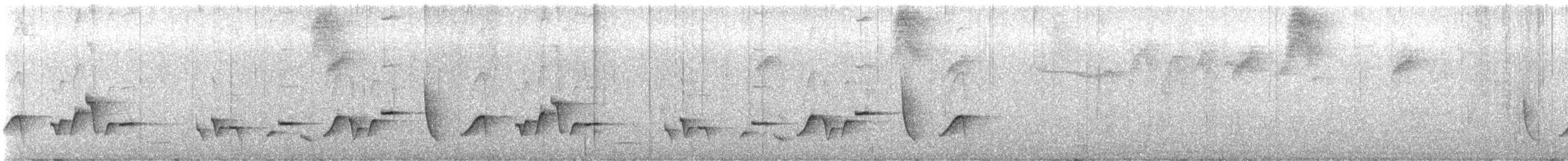 Einsiedlerzaunkönig - ML649107589